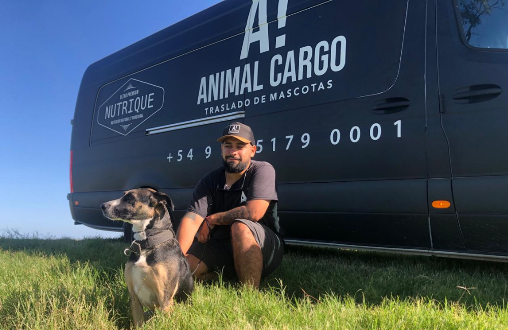 Animal Cargo 2