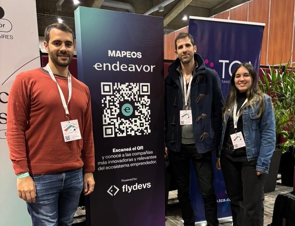 FlyDevs 6